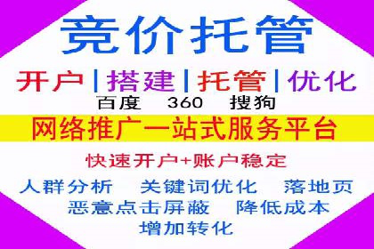 SEM服务托管实战案例分析报告